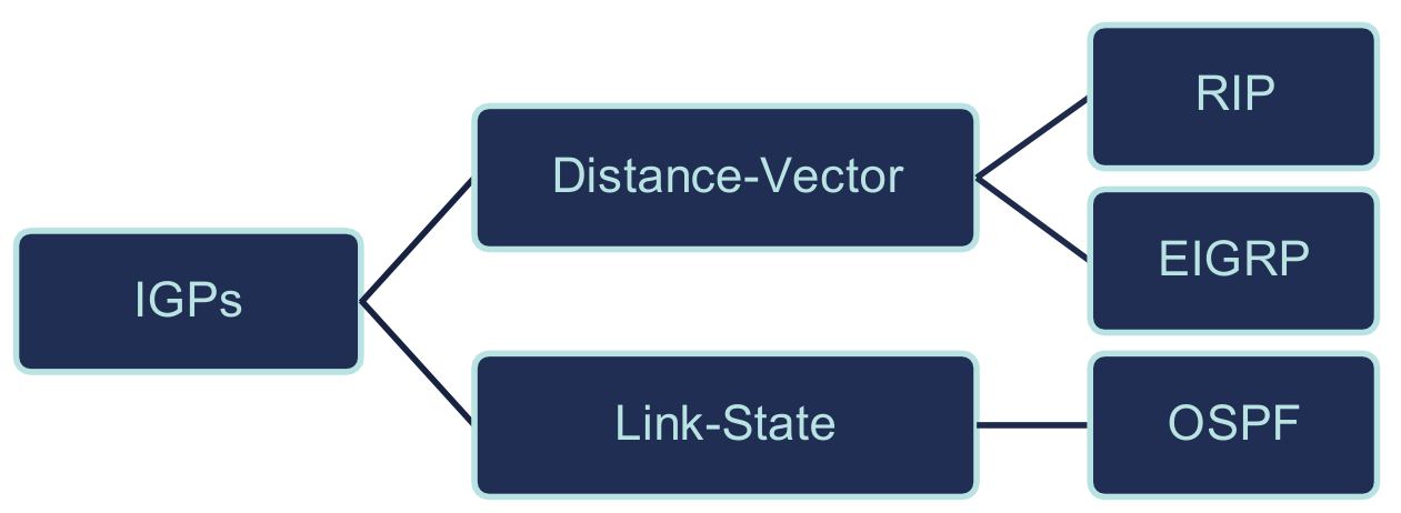 IGP types diagram: Distance-Vector and Link-State branches